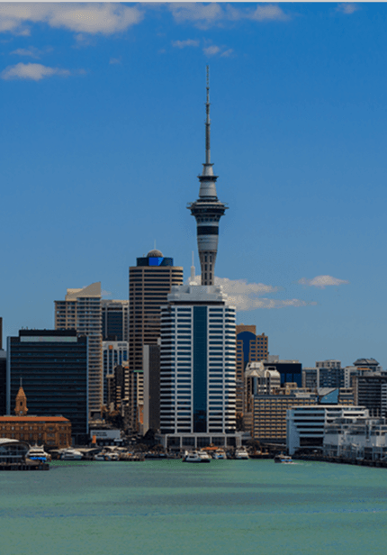 Study in New Zealand
